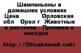 Шампиньоны в домашних условиях › Цена ­ 1 850 - Орловская обл., Орел г. Животные и растения » Пропажи и находки   